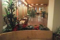 Atlas Zamalek Hotel Giza Luaran gambar